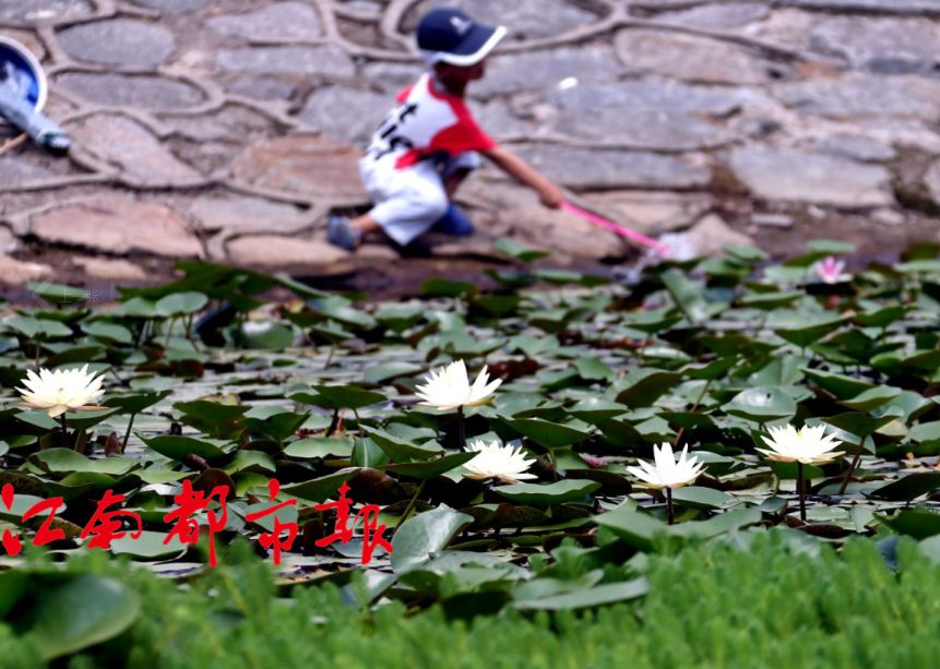 出行、医疗、景点···南昌这些东西全免费，再也不用花冤枉钱啦！