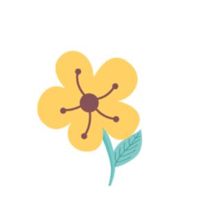 黑洞红了，视觉中国黑了