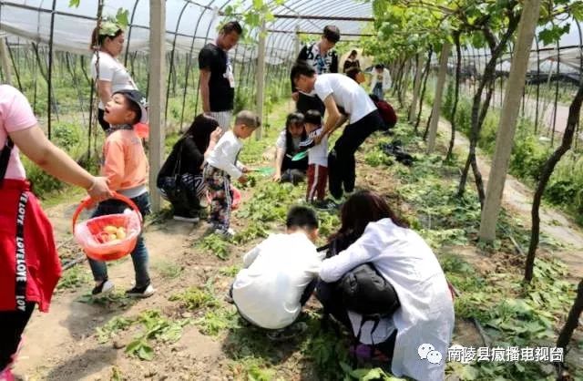 鏄ユ父鍗楅櫟寮嬫睙鍙ら晣瀵诲懗涔嬫梾,鑺滄箹鍗楅櫟鏄ユ父鏀荤暐