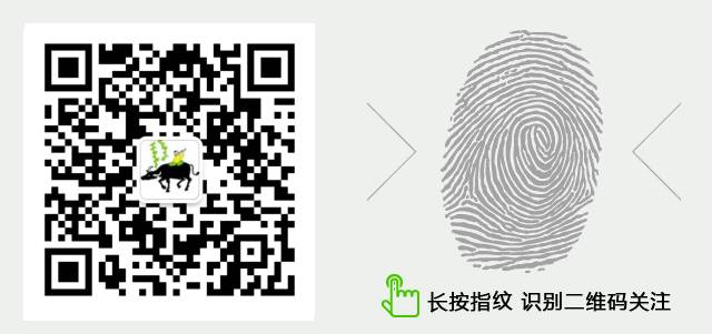 养牛新技术教学,养牛怎么养才能让牛快速生长