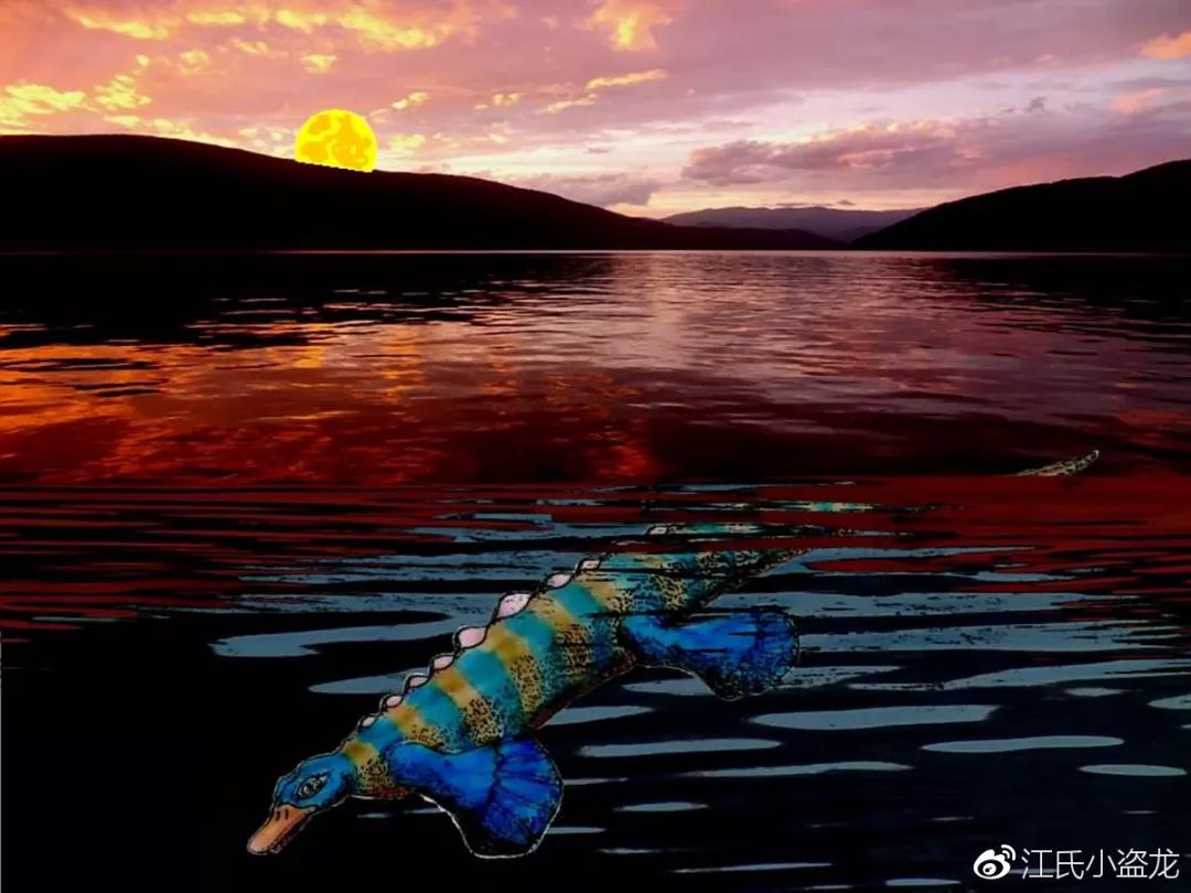 鸭嘴兽奇怪的地方在哪里,奇怪的鸭嘴兽