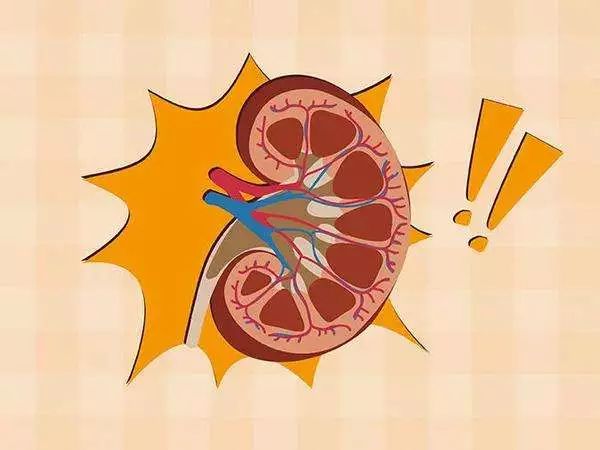 尿液泡泡多又不散怎么回事,尿液气泡多但尿蛋白不高