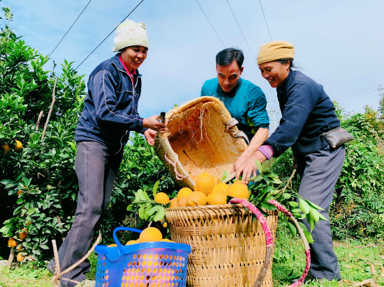 黔山信使邮来希望——贵州邮政履行普遍服务掠影