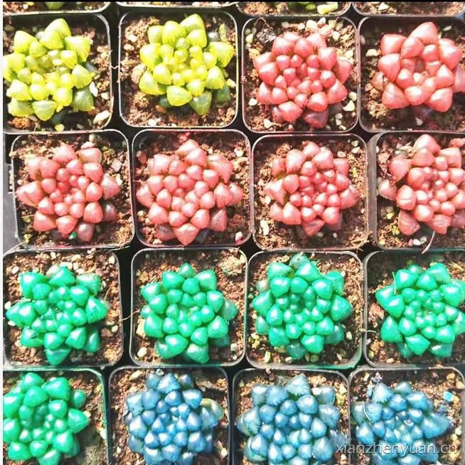 三个方法看透所有谎言,三个方法辨别谎言