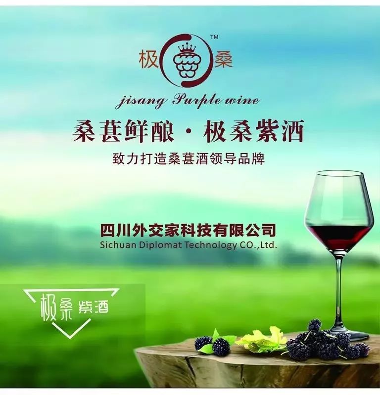 成都春糖格鲁吉亚红酒,成都春糖葡萄酒展区