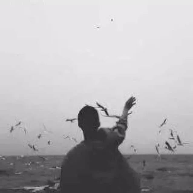 瓷器买哪的好价格便宜,一百元能买到什么瓷器