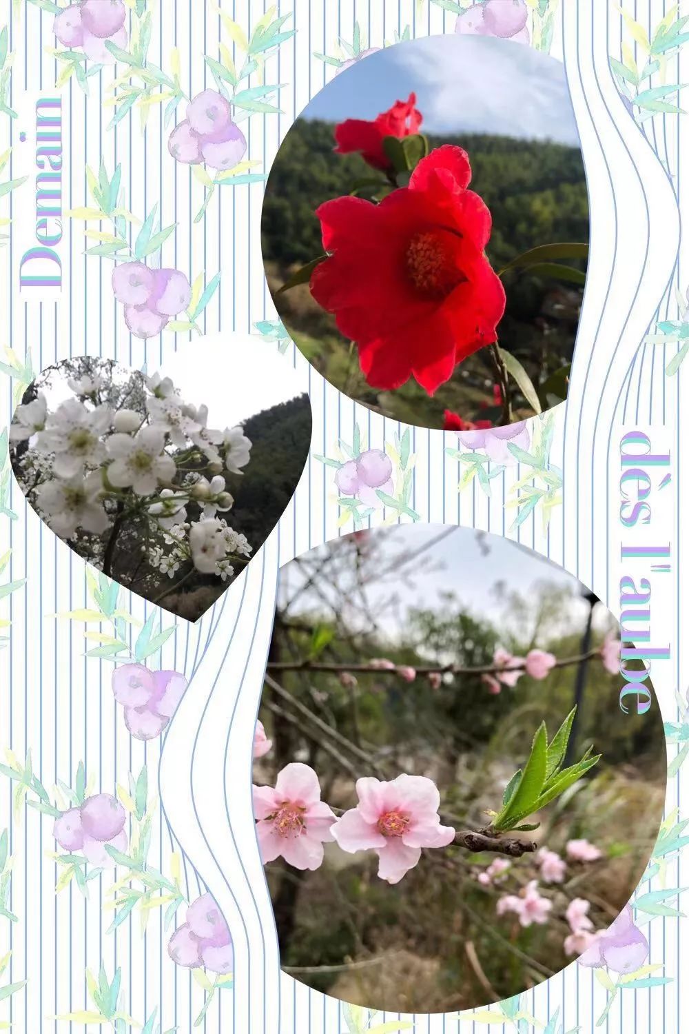 五一五府山蜜蜂谷,春游五龙山