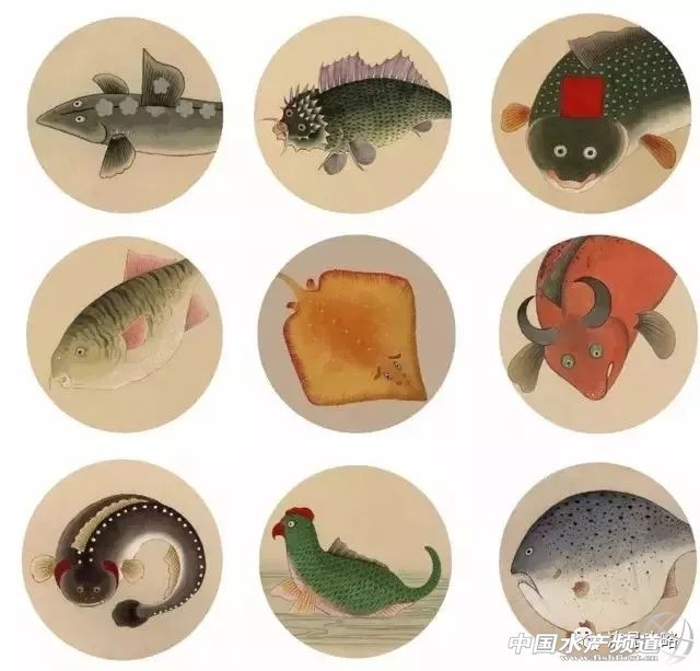 年前的海鲜,30年前的海鸥表