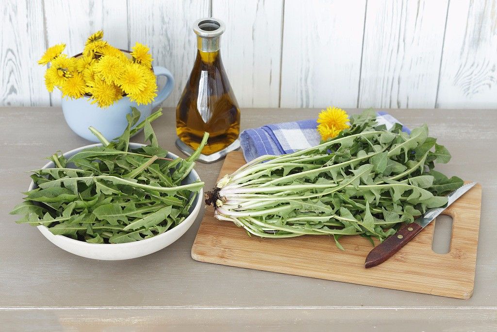 春天十大黄金野菜,中医养生必吃的9种食物