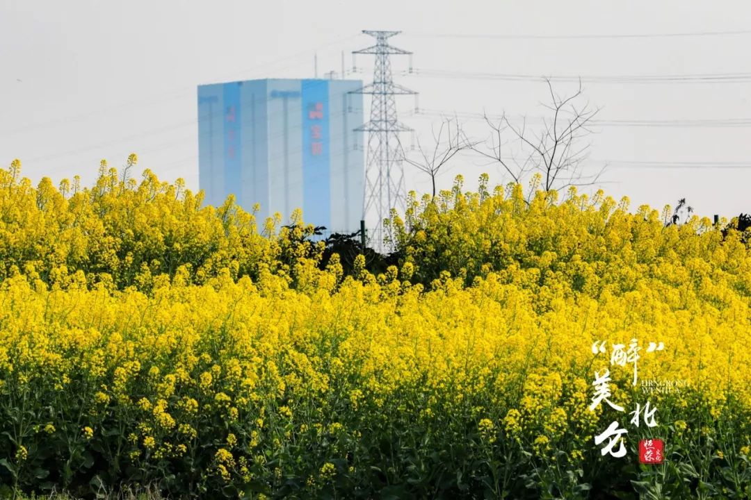 北仑清明游玩,下周北仑旅游景点