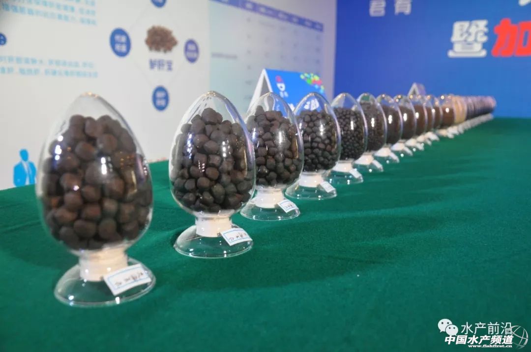 最新加州鲈销量怎样,加州鲈市场销量