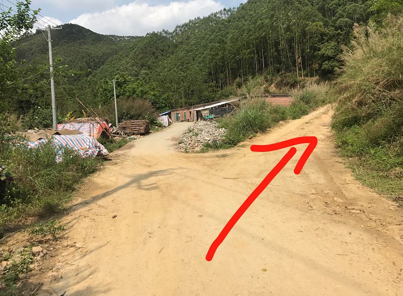 禾雀花美翻三月天,禾雀花盛开美翻三月天