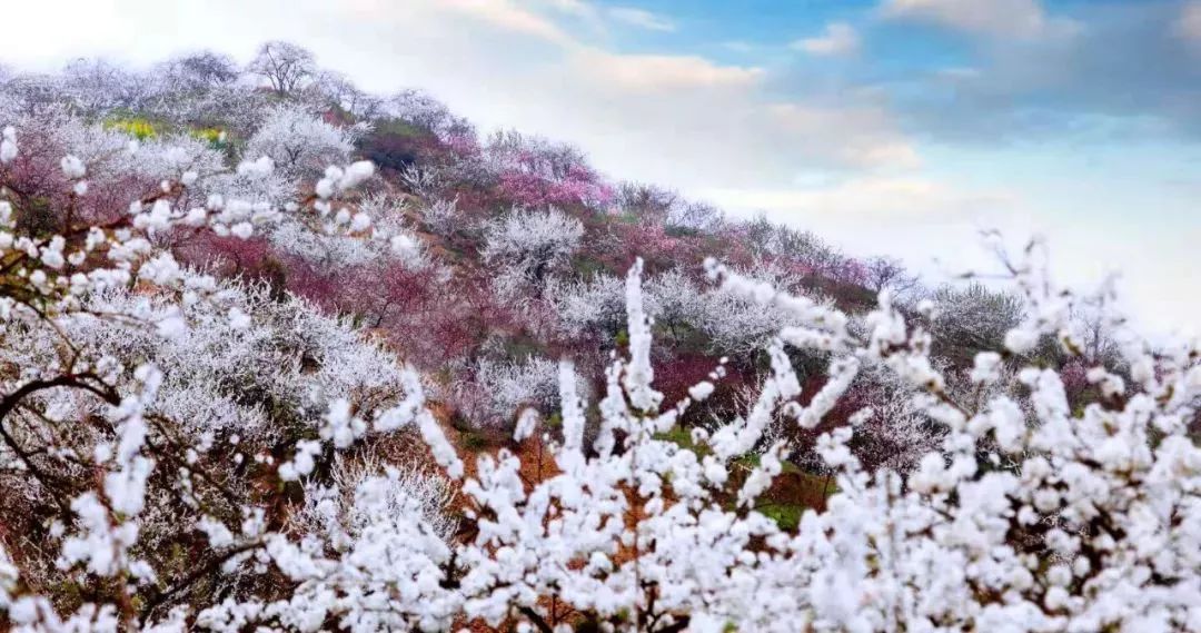 统景温泉除了泡温泉还可以干嘛,统景温泉游玩