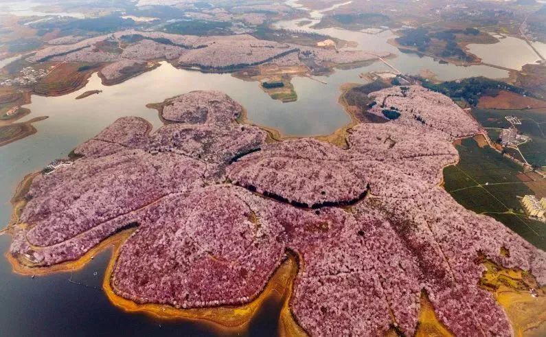 贵阳适合春季游玩赏花的好去处,贵阳春天最美的地方在哪里