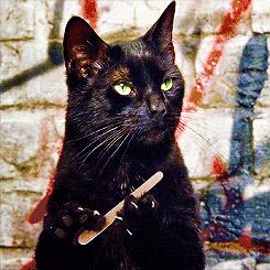 平顶山市的经济排名,平顶山经济省内排名