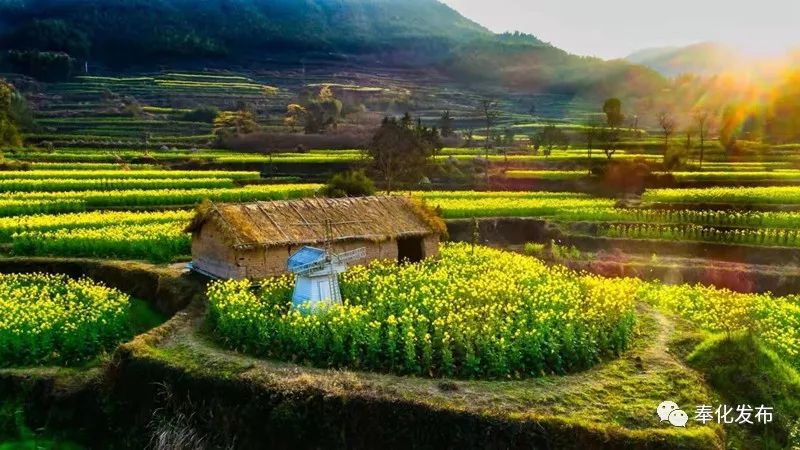 一字千金,一字千金全部视频