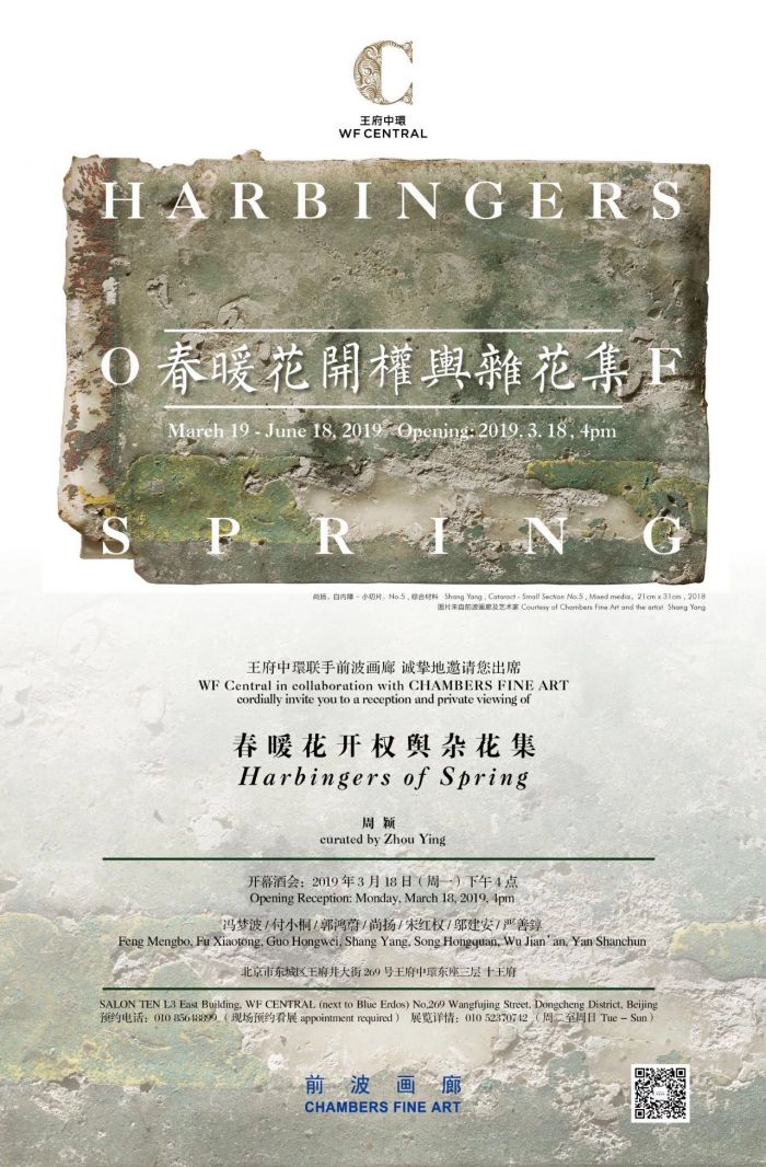 春暖花开百花齐放完整视频,春暖花开群芳争艳视频