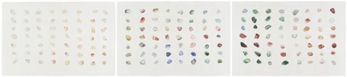 春暖花开百花齐放完整视频,春暖花开群芳争艳视频