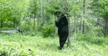 鲜榨果汁调理身体,年轻人的养生方式从鲜榨果汁开始