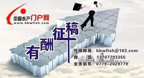 花白鲢鱼败血症怎么防治,花白鲢败血病用什么药