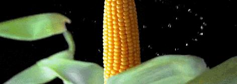 苏州新区周二永旺超市有什么活动,苏州永旺必逛