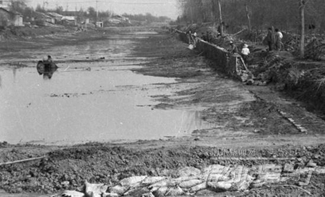 特约记者行最新视频,特约记者行俯瞰荆州醉美油菜花海