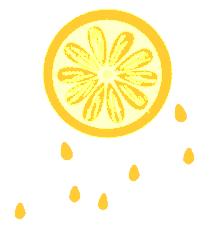 南宁龟山滨江公园,南宁邕江大桥网红打卡地点