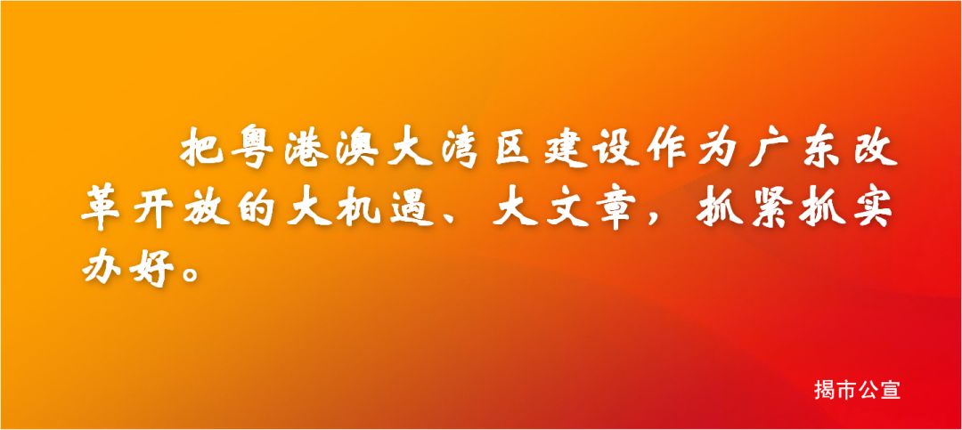 揭东区大型电信诈骗,东岭电信诈骗案