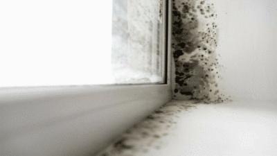 雨季衣物除湿,潮湿天气怎么除湿防霉