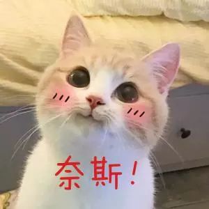 沈阳共享单车新款,沈阳新共享电动摩托车