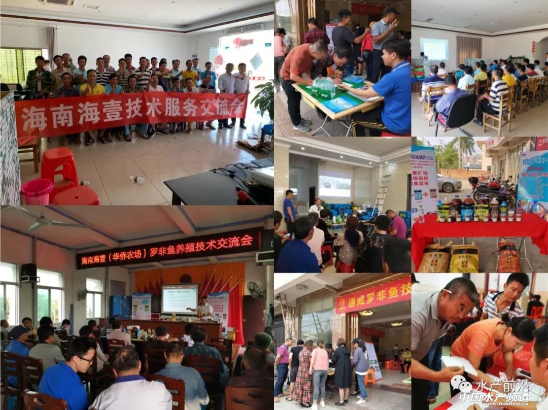 通威最新发布消息,通威降价对下游有什么影响