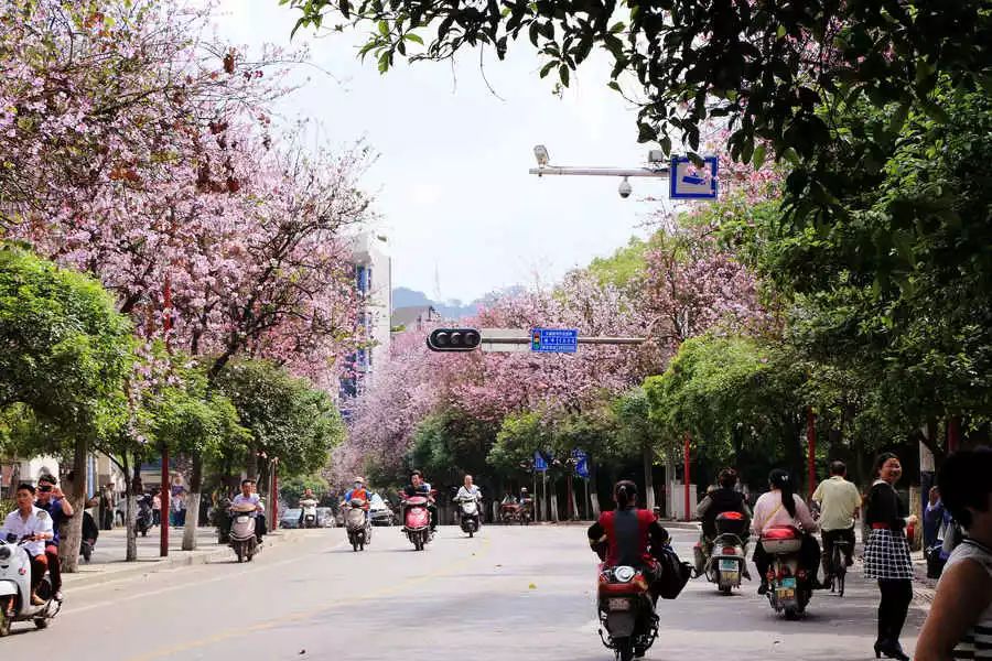 螺蛳粉征服世界,螺蛳粉征服全世界