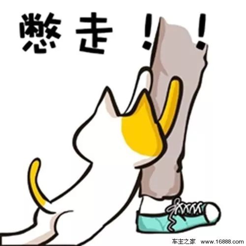 我是代购，世界各地啥都能买