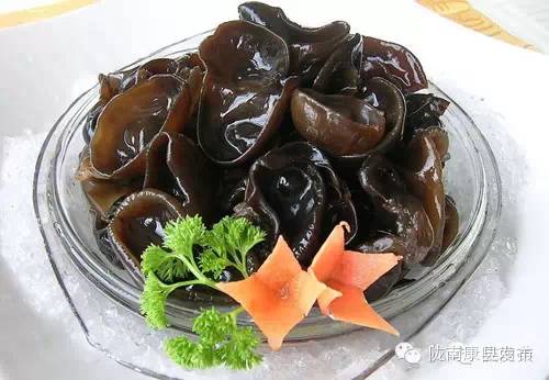 即刻出发旅游怎么样,康县自由行攻略