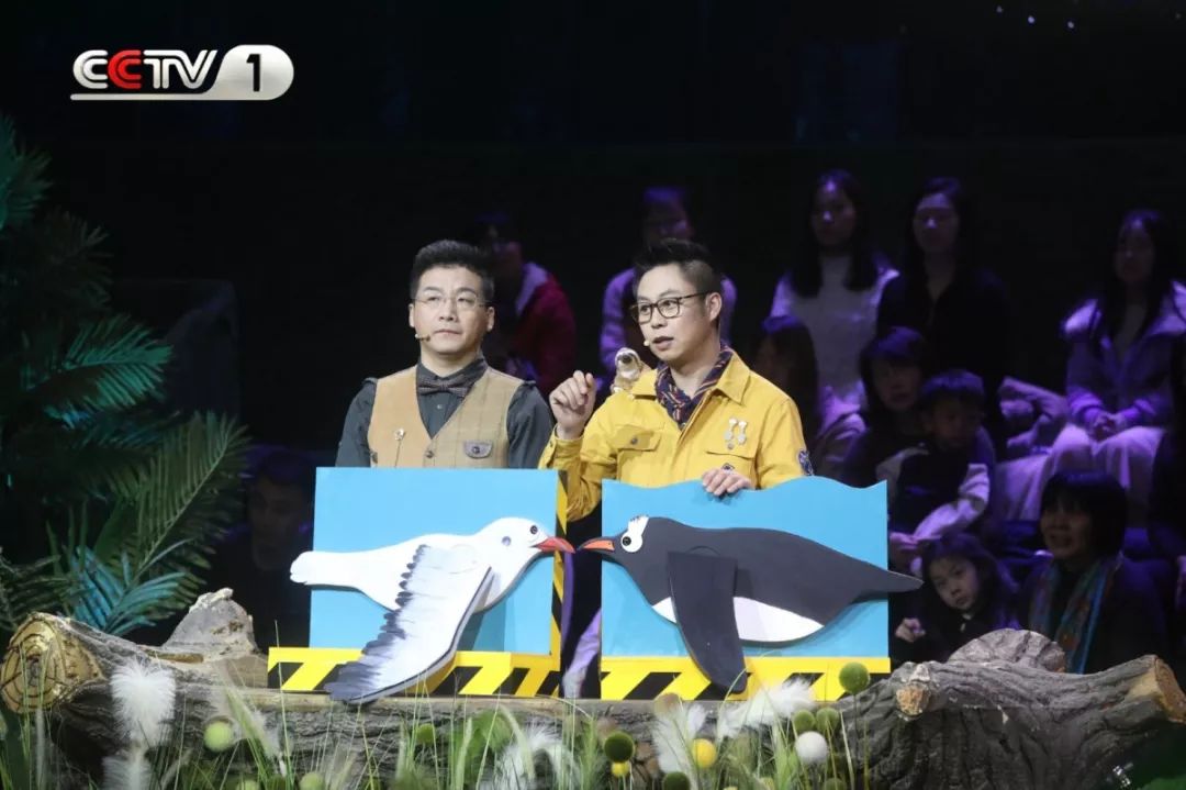 大象脚围2倍=大象身高?《正大综艺·动物来啦》为您实地验证