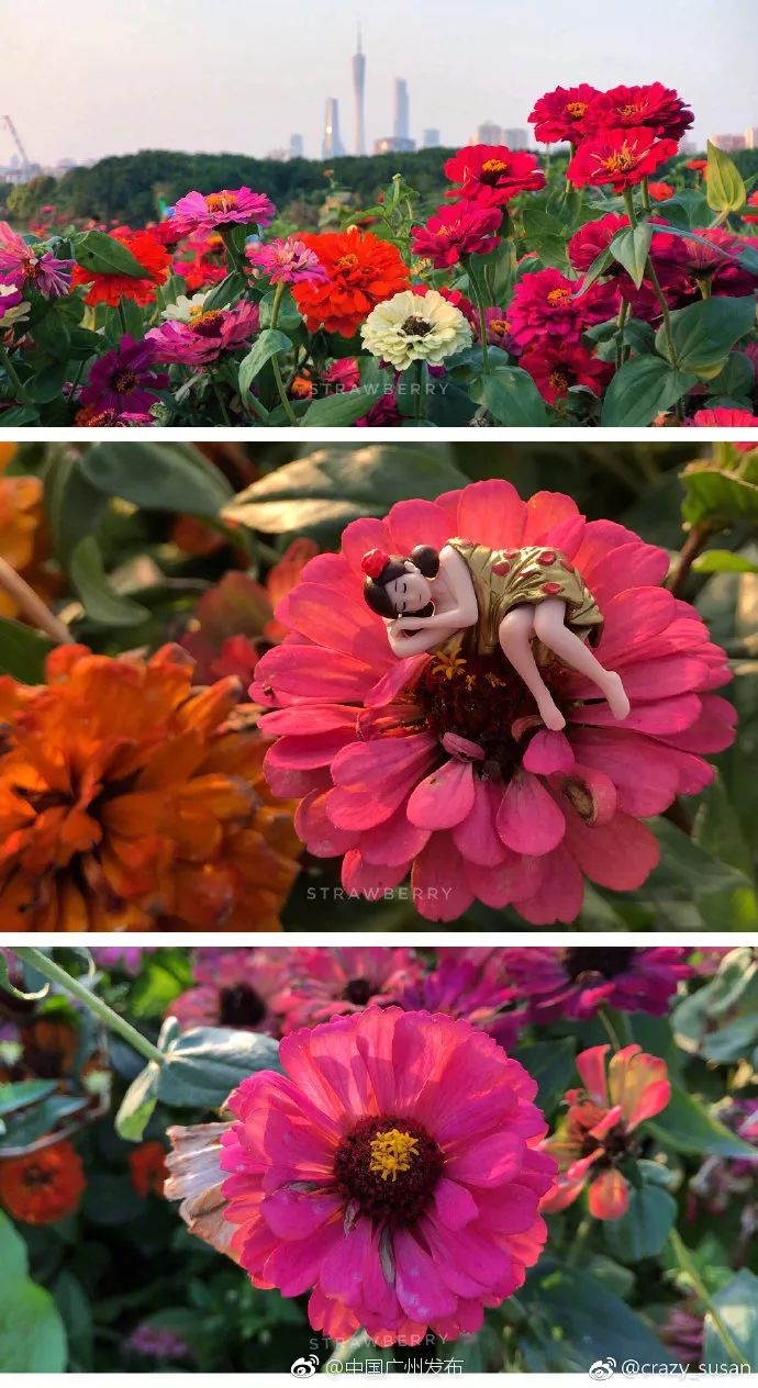 广州适合春游的免费景点,春游广州最适合去的地方