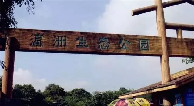 广州适合春游的免费景点,春游广州最适合去的地方