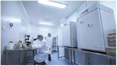 除臭止汗日本除臭石,日本消臭石止汗剂