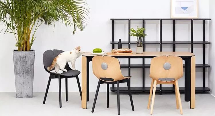 贵的实木家具,买了绝不后悔的家具