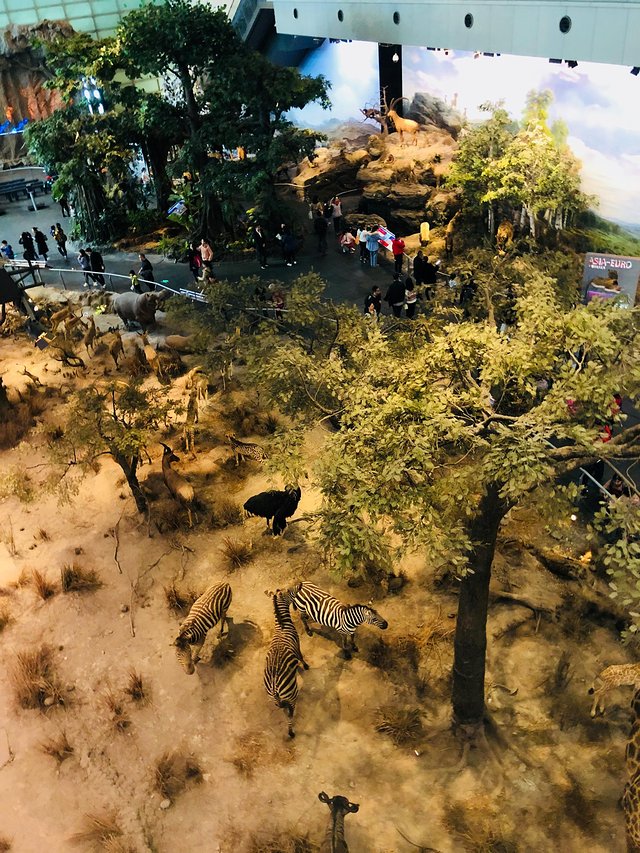 缓慢游玩迪士尼,慢慢悠悠的游玩