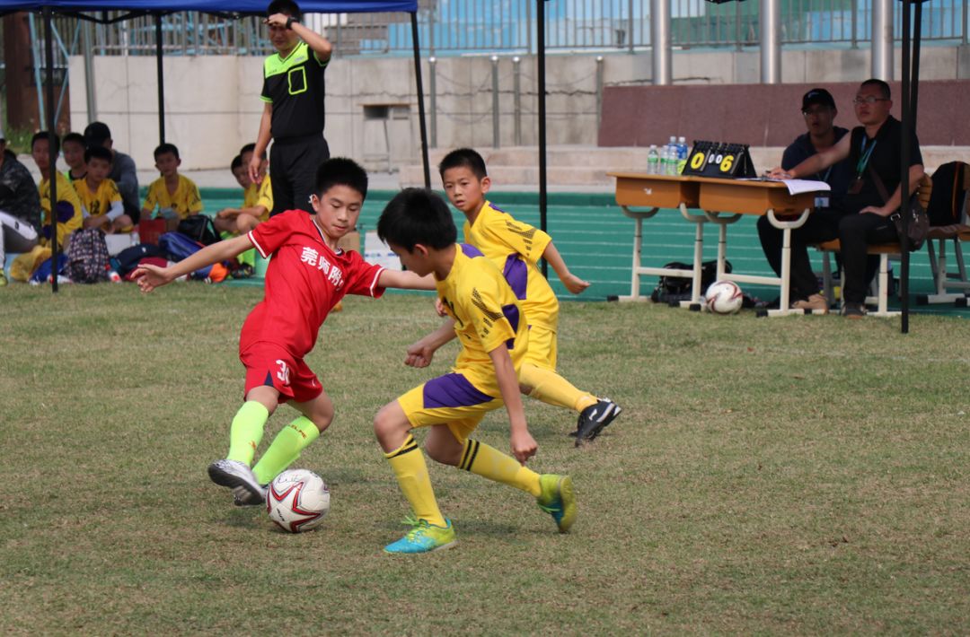 东莞市2022年小学足球比赛排名,2024东莞市小学生足球锦标赛