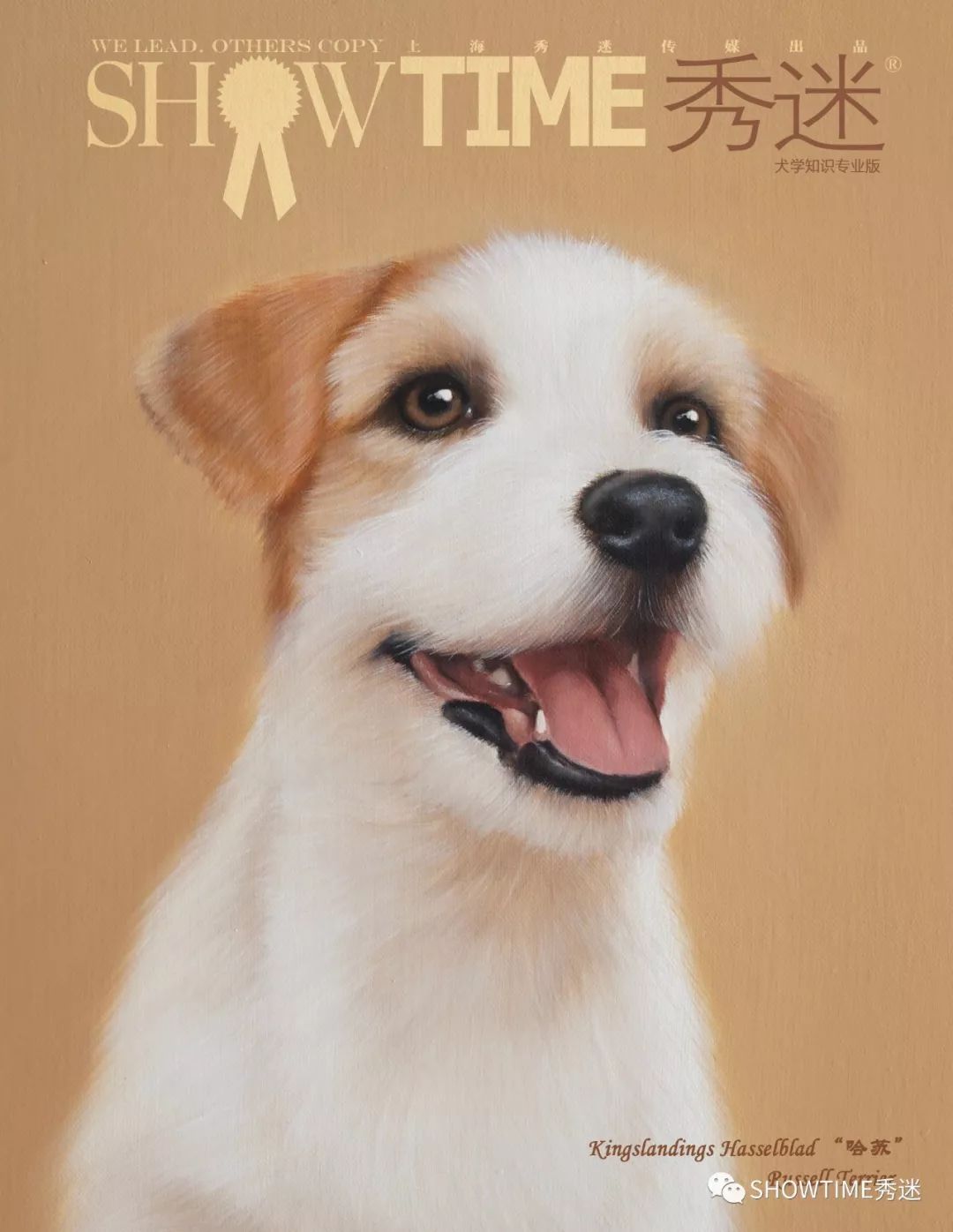 Elyn：非常安静内向的……野姑娘。|犬学知识专业版封面故事