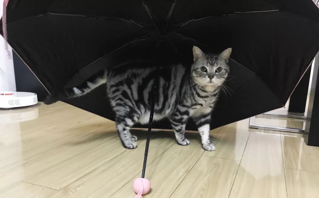 店庆省钱攻略,店庆全攻略