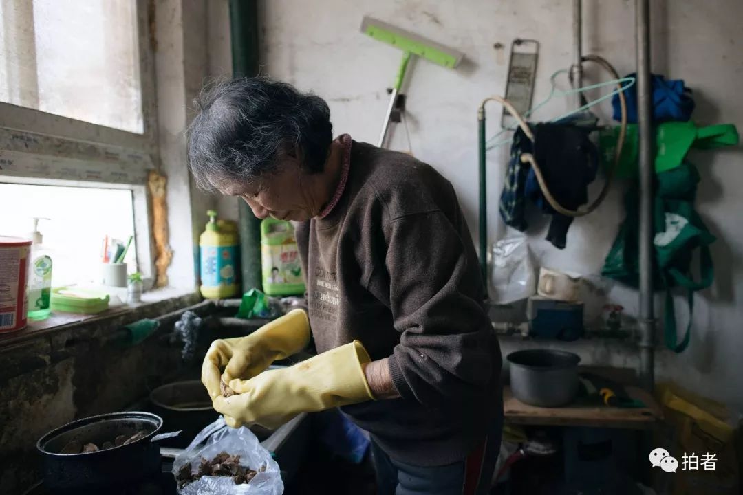 养40只流浪猫建新家,家里有18只流浪猫