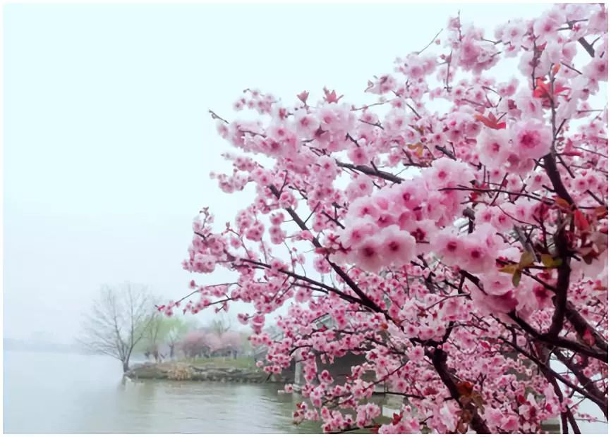 小ck两周年宠粉心动邀约,宠粉时间送抱枕