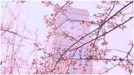 小ck两周年宠粉心动邀约,宠粉时间送抱枕