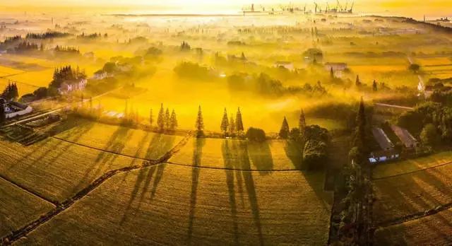 吵翻了！魔都16区终于正面PK！哪个是你心中的C位担当？