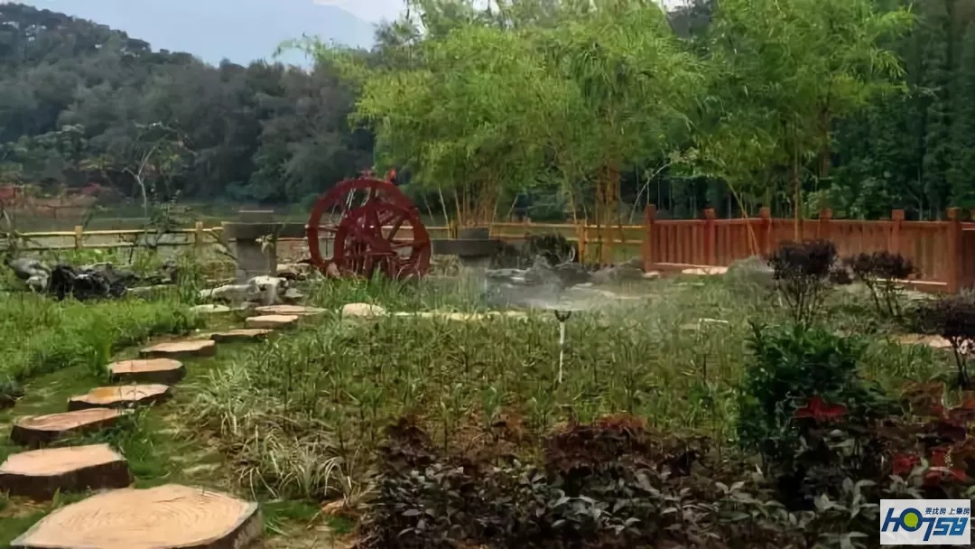 星湖国家湿地公园免费吗,广东星湖湿地风景