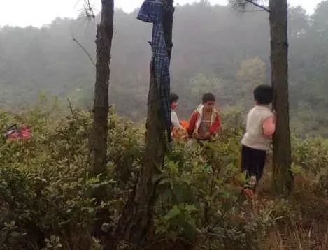 扫墓别拍肩膀,扫墓不要在别人墓前乱讲话