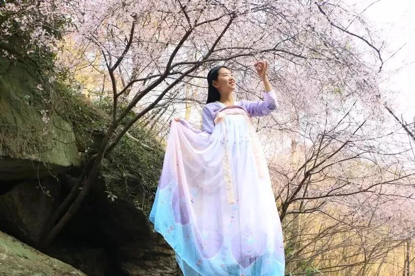 央视武汉樱花,央视新闻一起来看武汉樱花